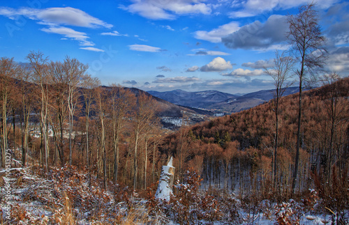 Winter Landscape with Cloudy Sky Scenery