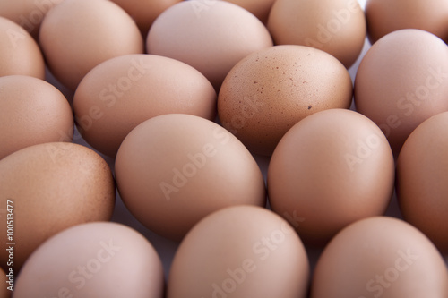 eggs.