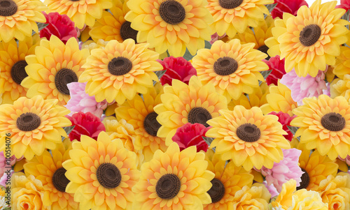 Sunflowers and roese  background