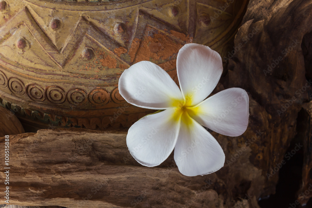 Fototapeta premium vintage and boutique mood flower plumeria with old baked clay va