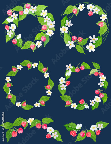 Watercolor raspberry clipart