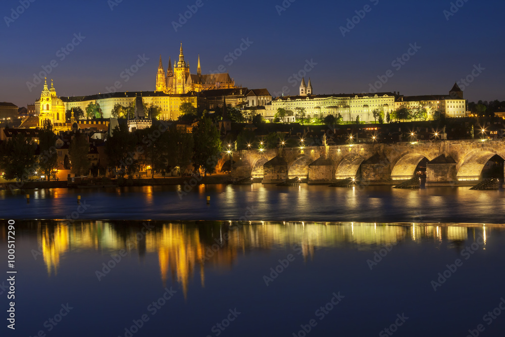 View of the Cathedral of St. Vitus at night, Hradcany (Prague).