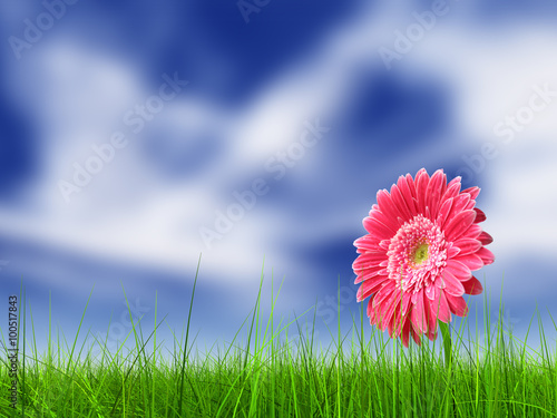 Conceptual pink flower in green grass