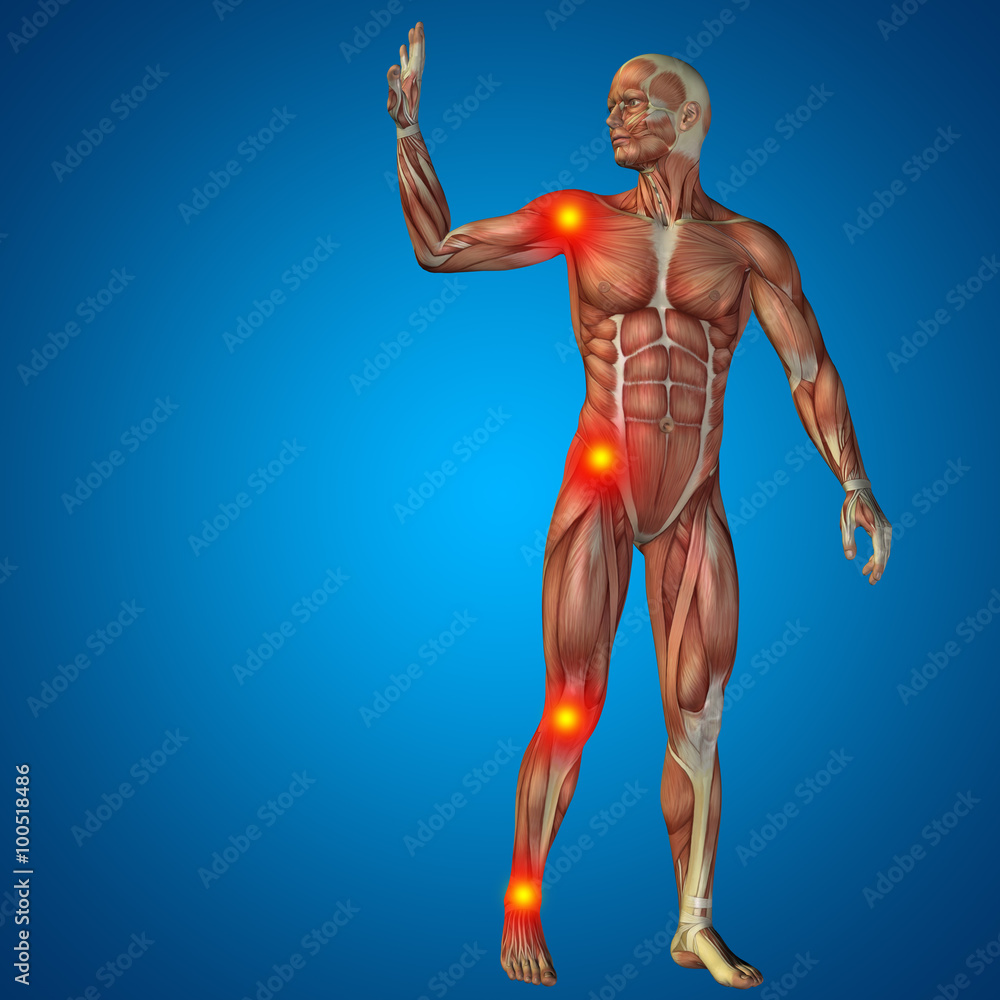 3D human man pain anatomy on blue background 3D human man pain anatomy on blue background
