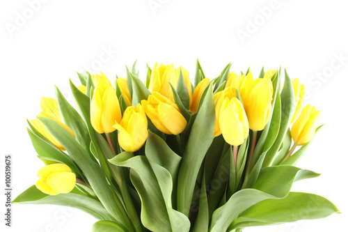 Bouquet of yellow tulips