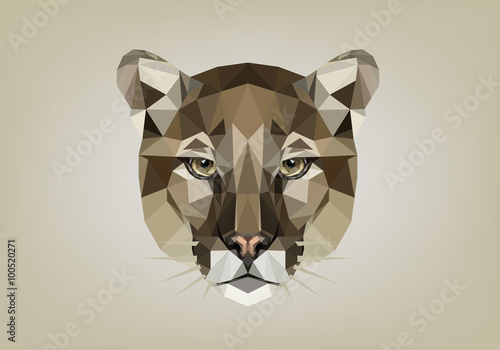 Puma Low Poly