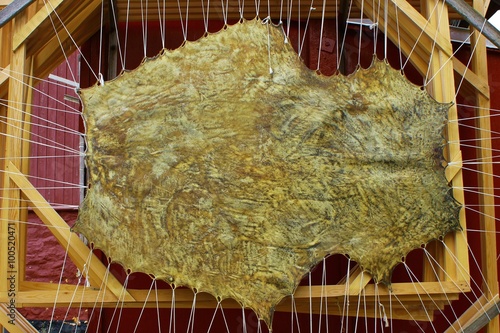 Traditional processing of animal skin