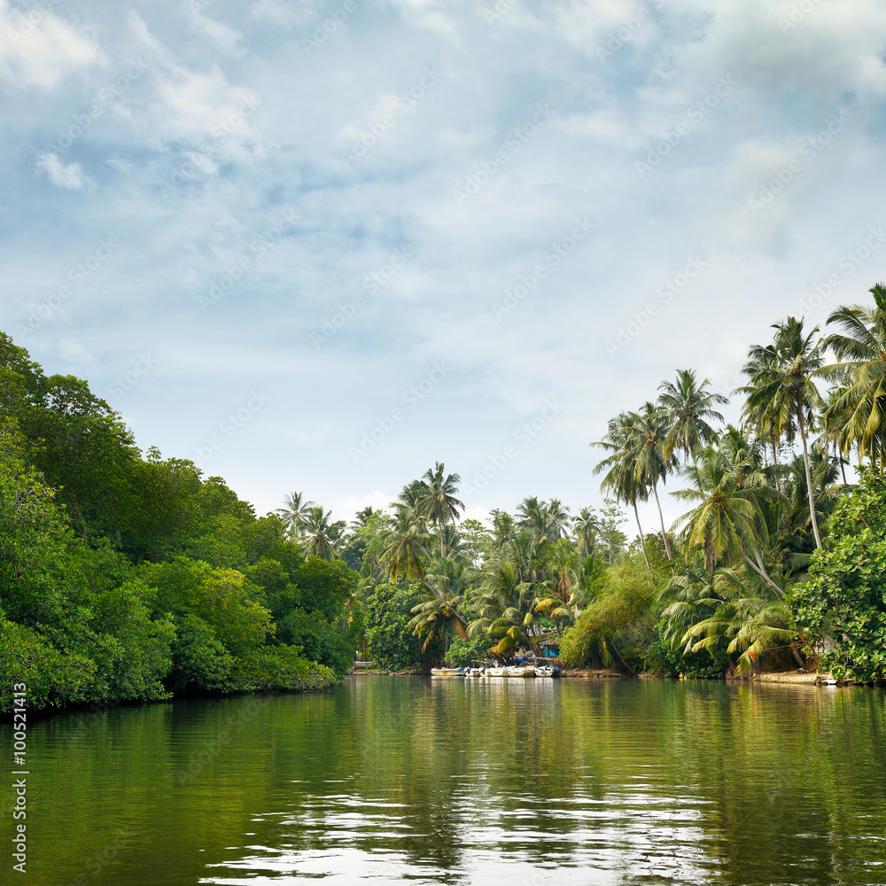 Equatorial forest and boats on the lake Equatorial forest and boats on the lake