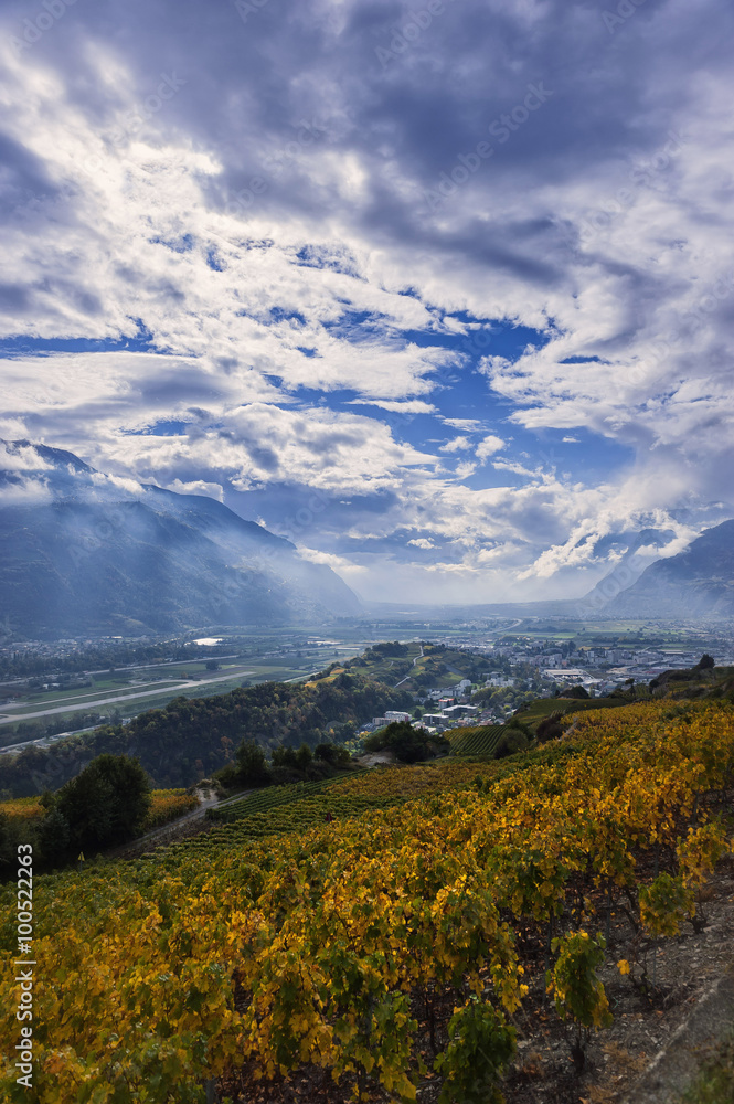 Weinberge im Schweizer Rhonetal - Wallis