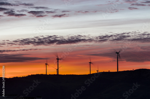 Landscape of dawn with windmills at horizon © Alonso Aguilar