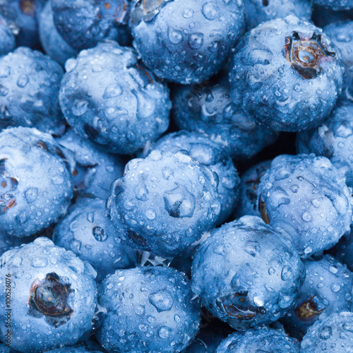 Close up shoot of bunch of fresh blueberries