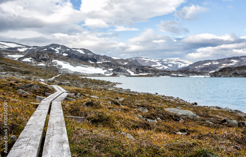 Swedisch hiking trail in Lappland photo