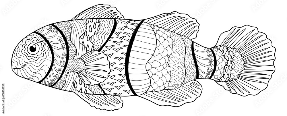 Obraz premium Clownfish with high details.