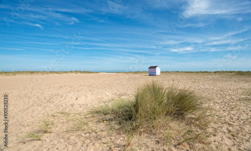 Beach Hut on a Sandy Beach