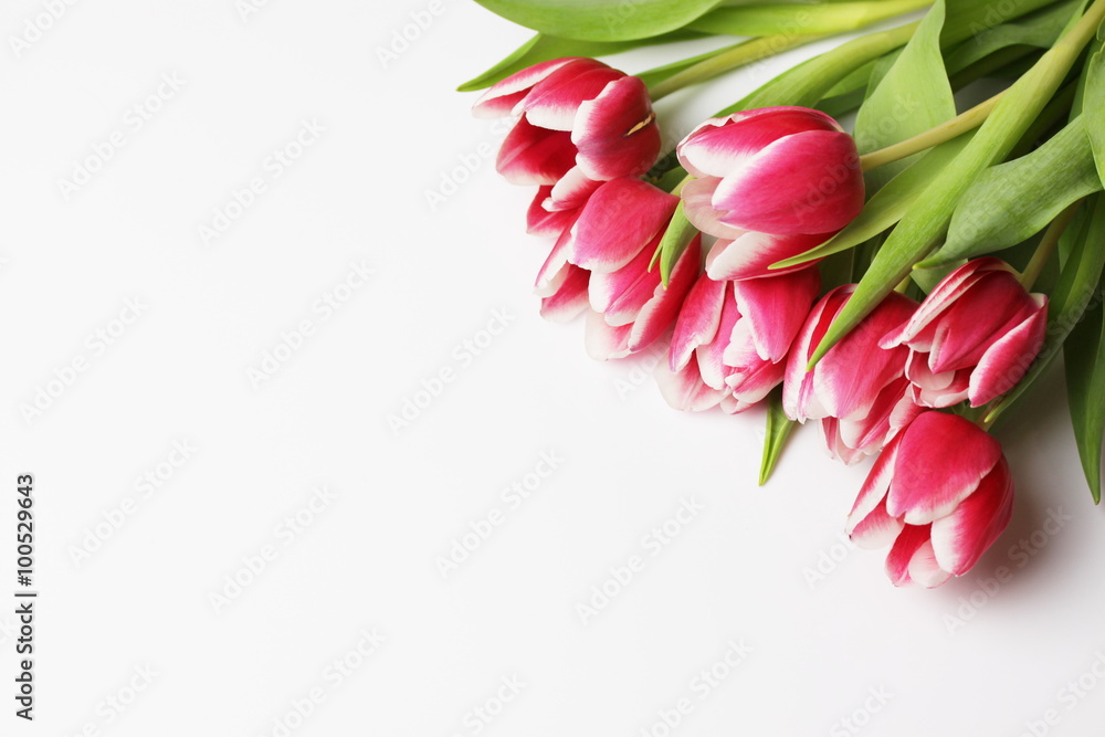 Fototapeta premium Tulipany bukiet