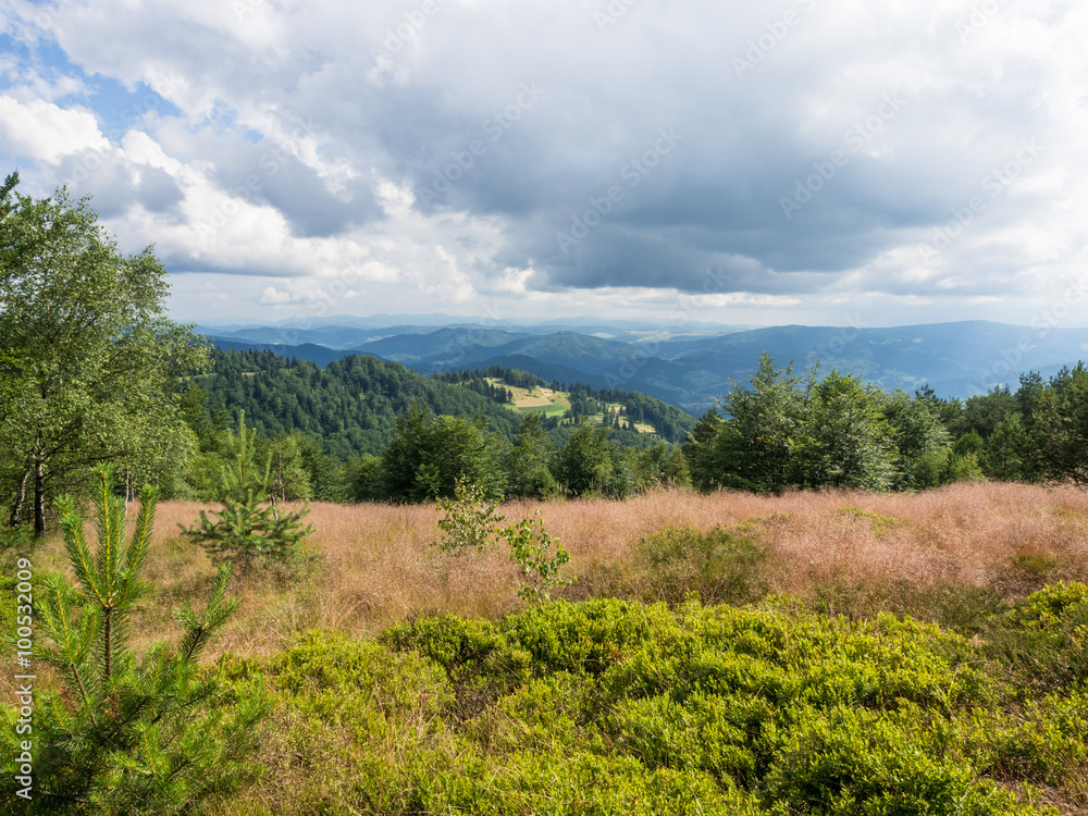 Polana w Beskidach, pasmo Jaworzyny w Beskidzie Sądeckim Polana w Beskidach, pasmo Jaworzyny w Beskidzie Sądeckim