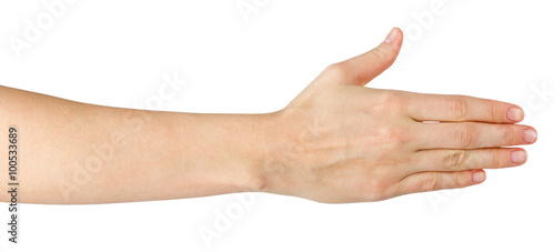 Female hand offering handshake isolated on white background, cop