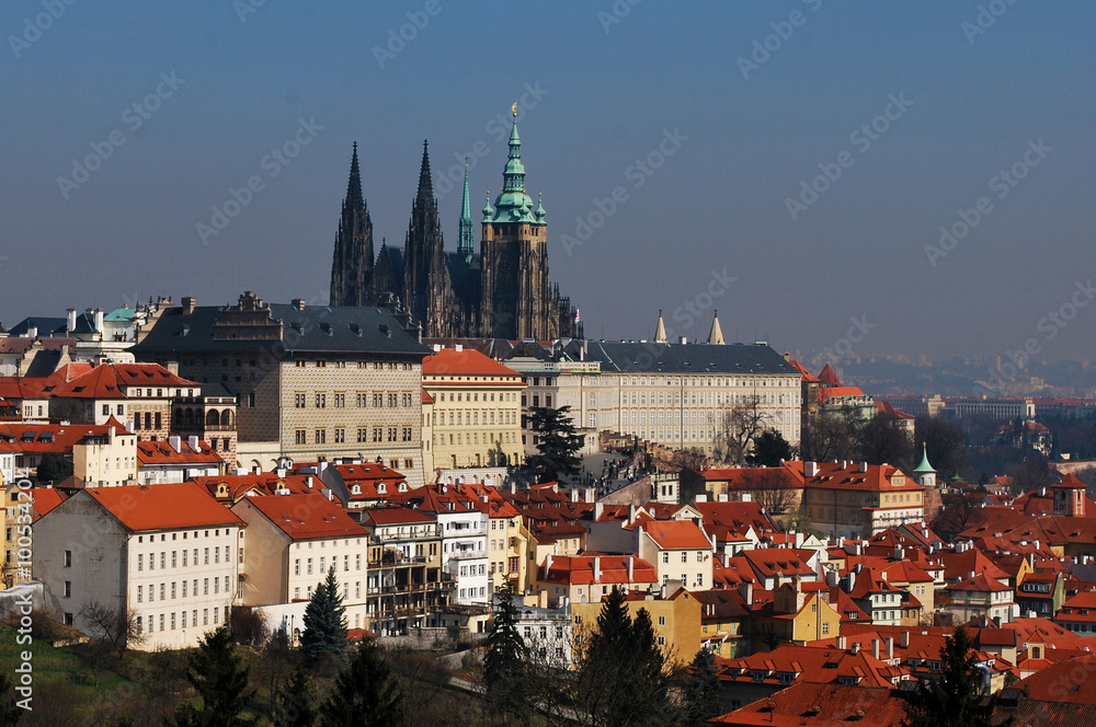 Obraz premium View on the Prague Castle and orange rooftops from the hill