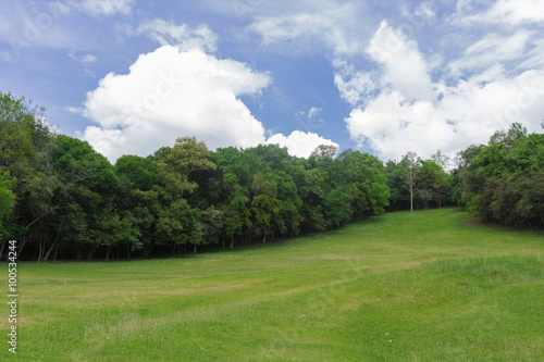 the grassy knoll