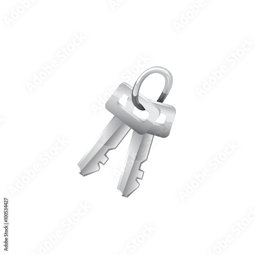Keys. Vector icon