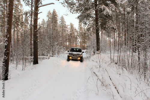 The car in the winter woods.