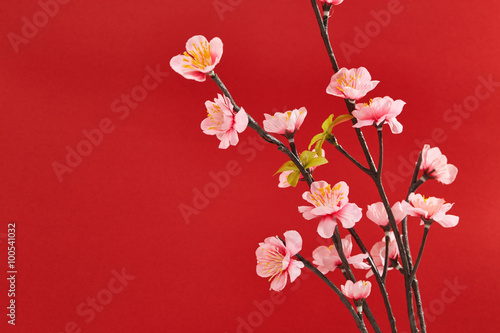 Chinese new year's decoration for Spring festival