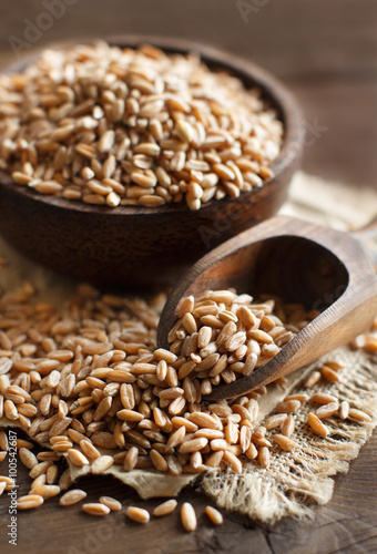 Canvastavla Uncooked whole spelt in a bowl with a wooden spoon