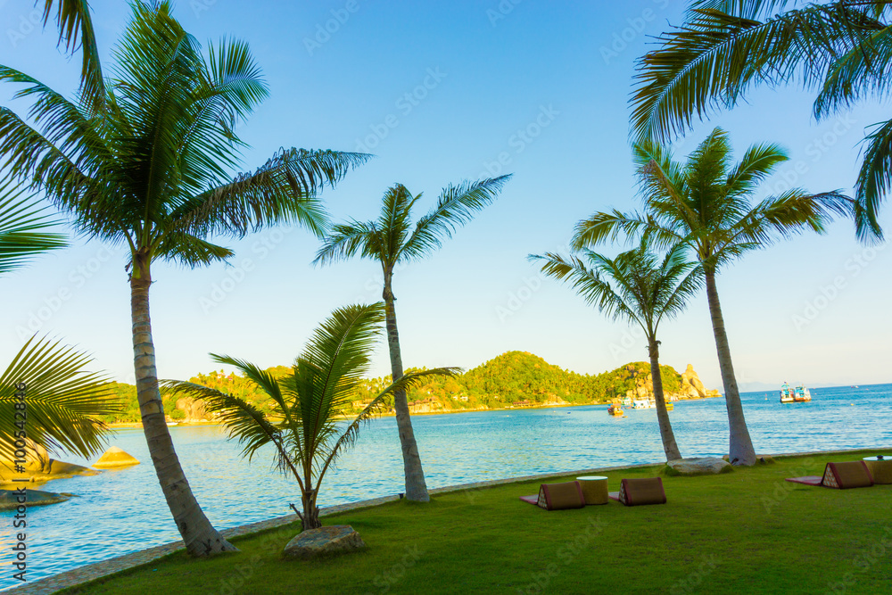 Coconut palms against blue sky background Coconut palms against blue sky background