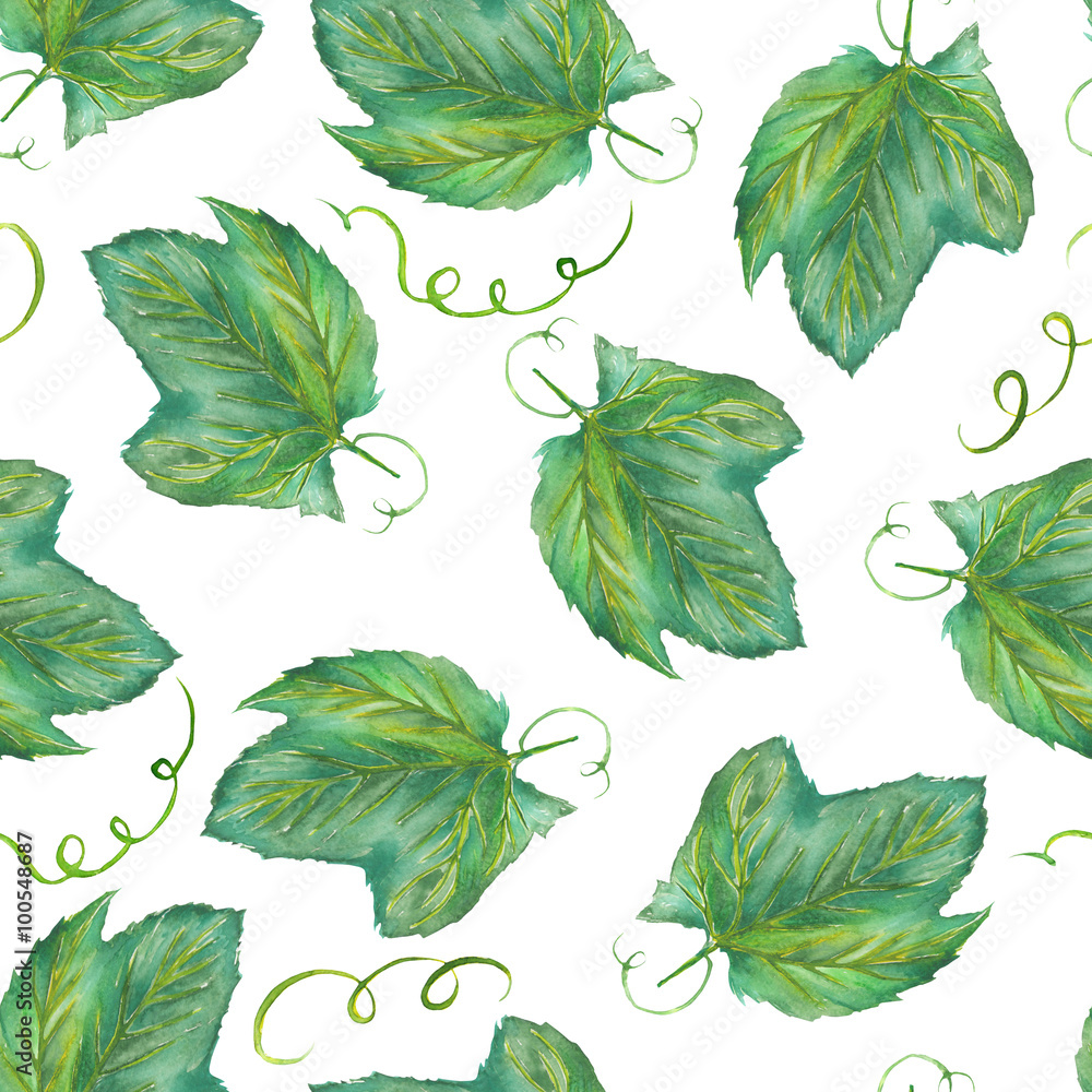 Fototapeta premium A seamless pattern with the hand-drawn grape leaves. Painted in a watercolor on a white background.