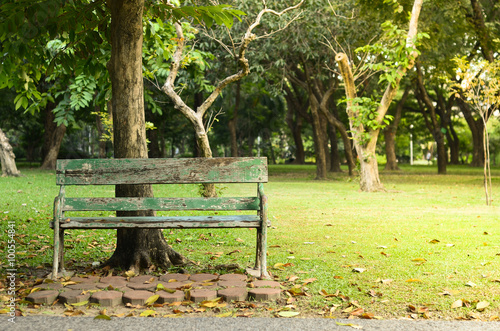 Fototapeta Naklejka Na Ścianę i Meble -  Park Bench under large trees in afternoon time in the park with falling leaves in Bangkok