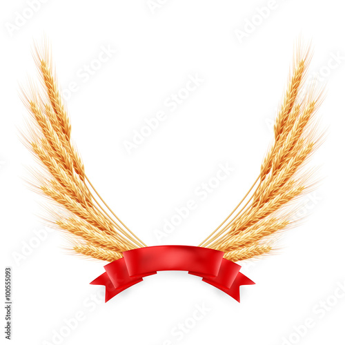 Ripe yellow wheat ears with red ribbon. EPS 10