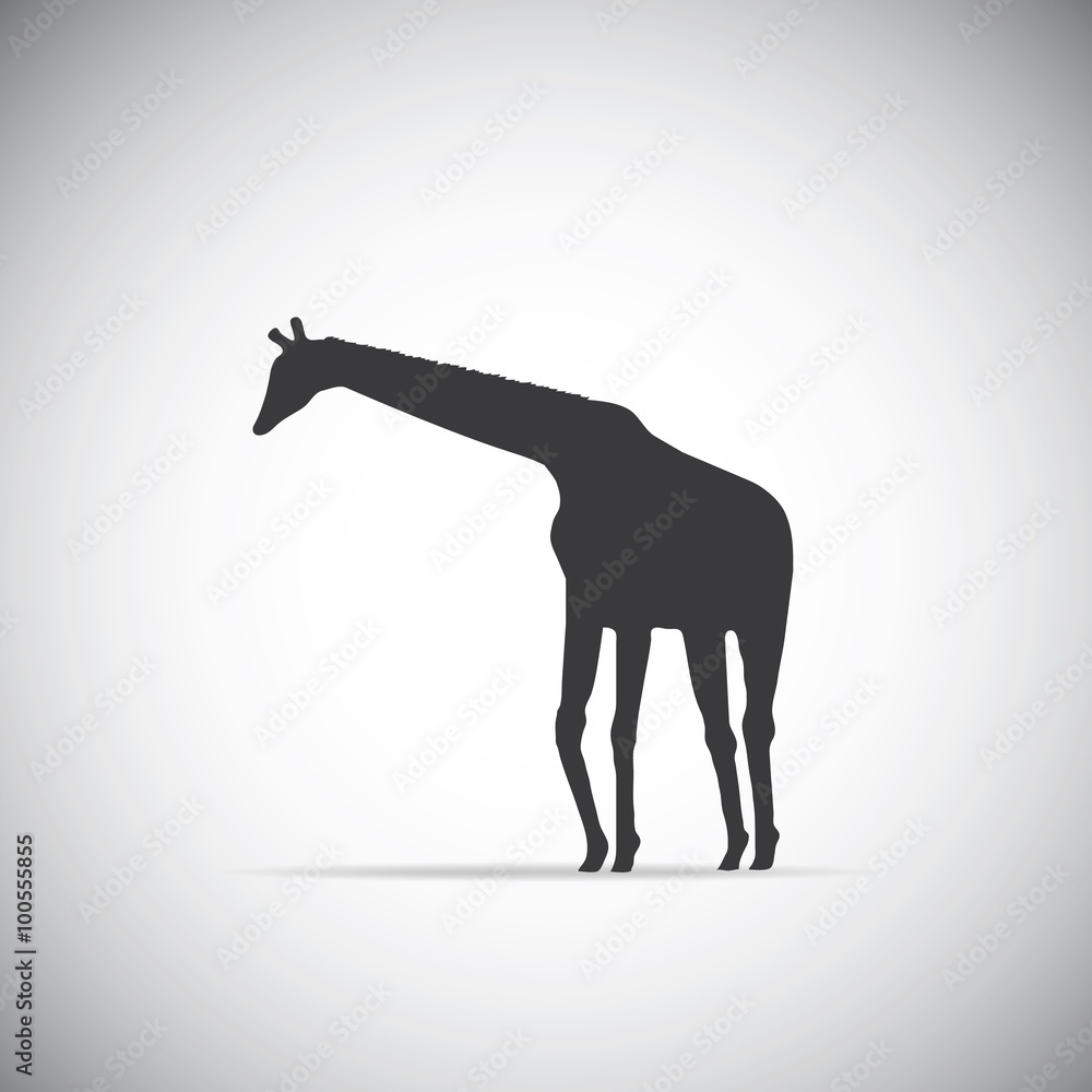 Fototapeta premium Silhouette of a giraffe