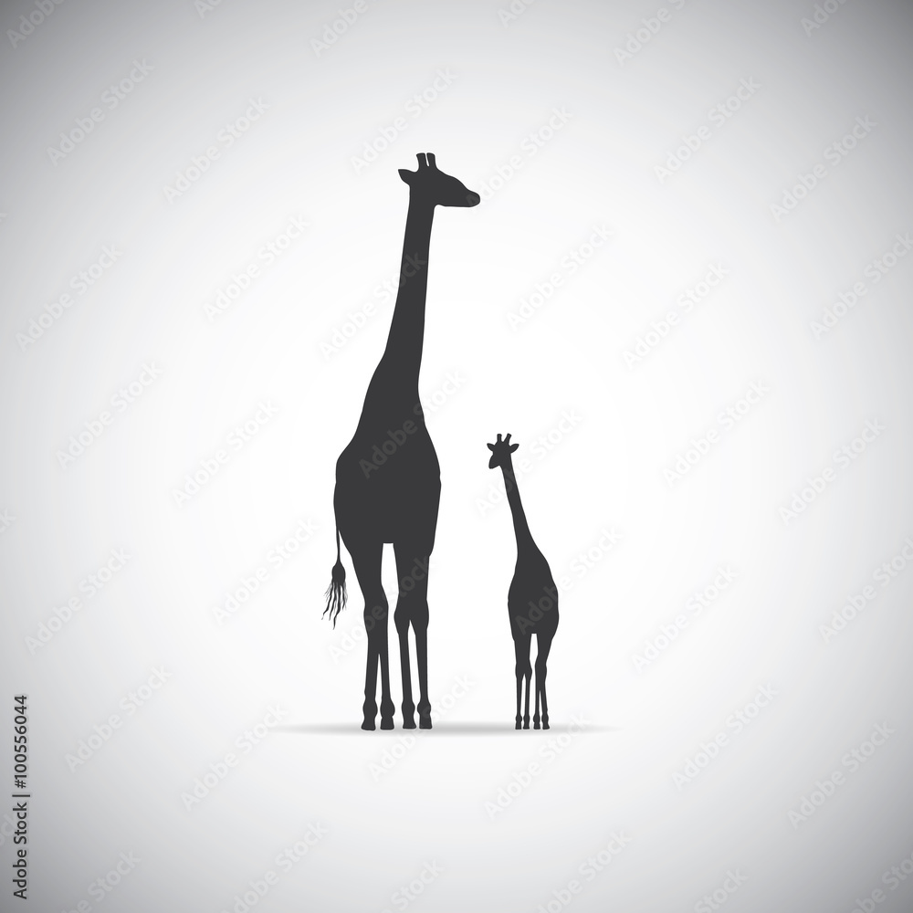 Fototapeta premium Vector silhouette of mother giraffe with her baby