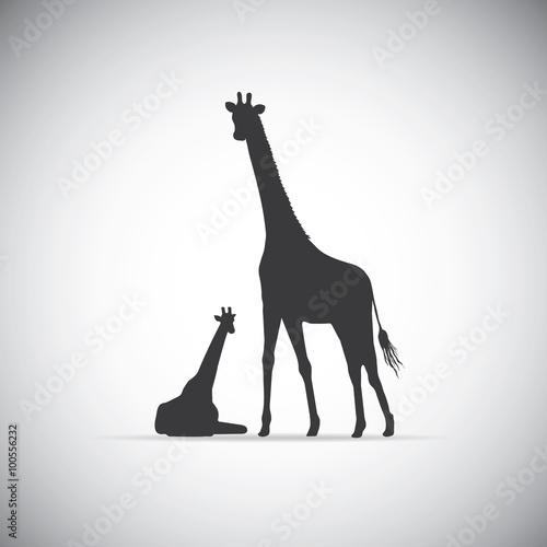 Vector silhouette of mother giraffe with her baby