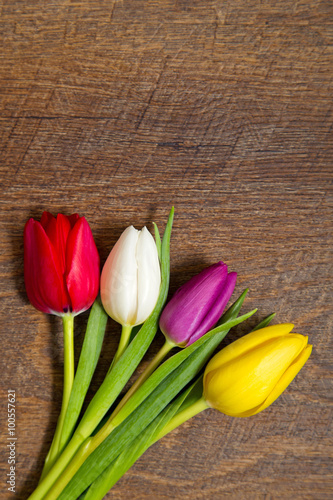 Fototapeta Naklejka Na Ścianę i Meble -  Tulpen