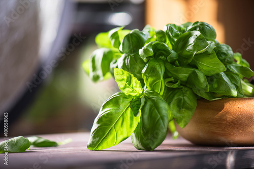Fresh organic basil