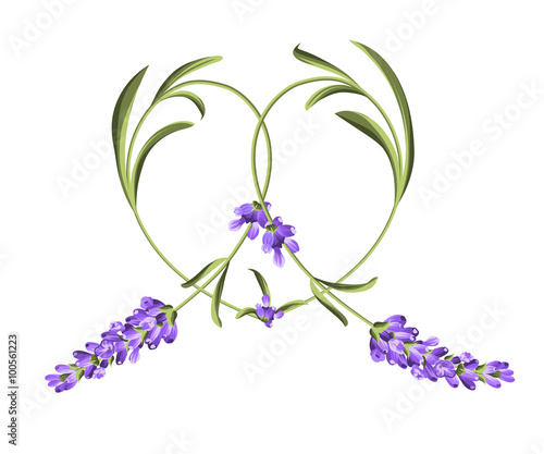 Heart frame of lavender flower.
