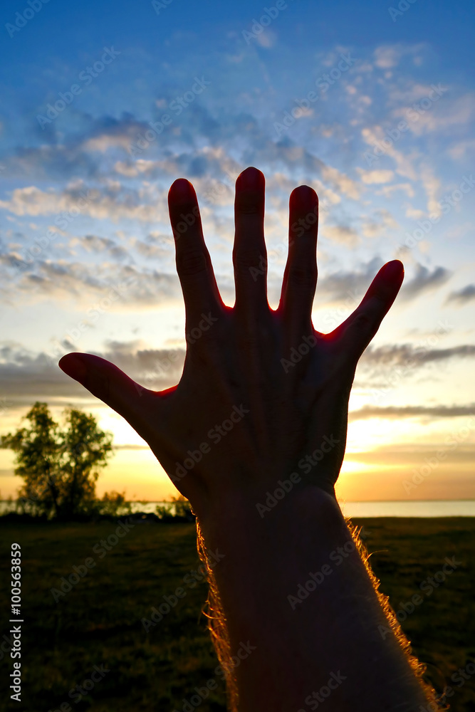 Hand Silhouette on Sunset