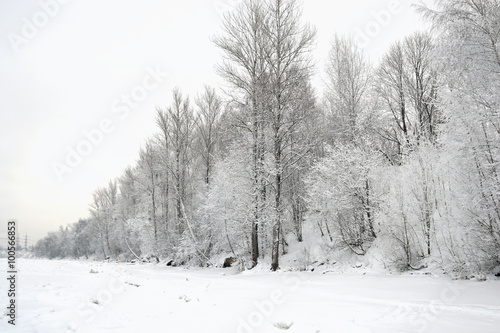Winter landscape with snow covered trees.