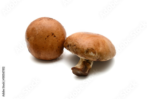 Baby bella mushroom on a white background