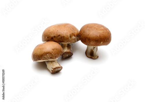 Baby bella mushroom on a white background