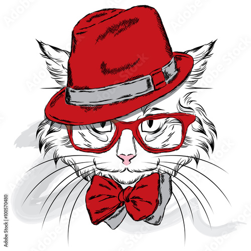 Cat vector. Cartoon cat. Cute cat in the clothes. Hip-hop. Cat in a cap and glasses. Hipster. Postcard with the cat.