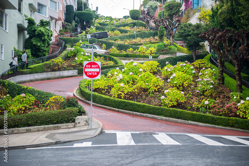 Lombard street, San Francisco photo