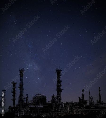 the starry sky and a plant © Olexandr