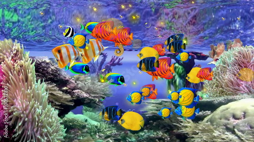 LIFE IN THE CORAL REEF with SeaHorse