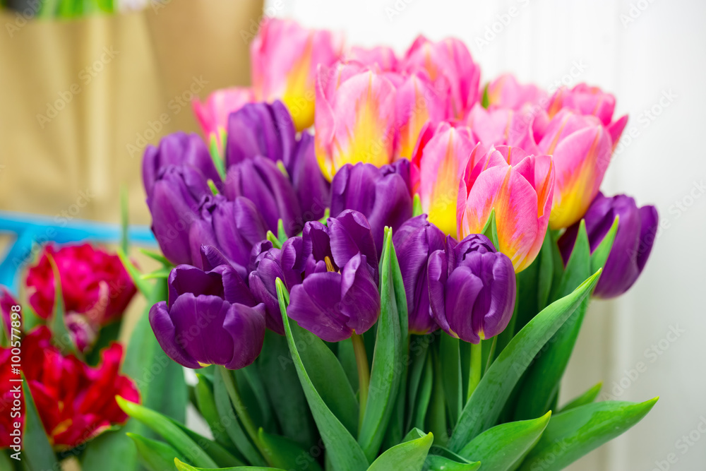 Fototapeta premium Beautiful pink and purple tulips. A bouquet of flowers for March 8, or Valentine's day