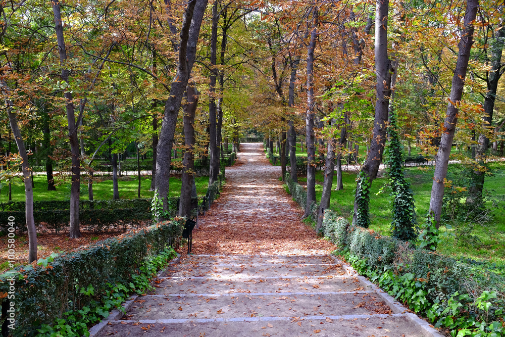 Path through the Retiro Park in Madrid in early Autumn Path through the Retiro Park in Madrid in early Autumn