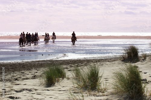 cavaliers et chevaux au coucher du soleil, plage de l'Espiguette, Languedoc Frnace