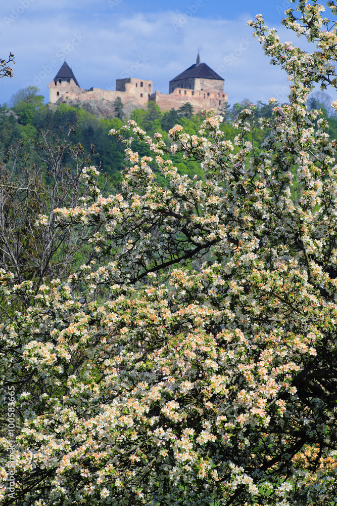 Tocnik castle 04/ Spring view to Tocnik castle - Czech republic