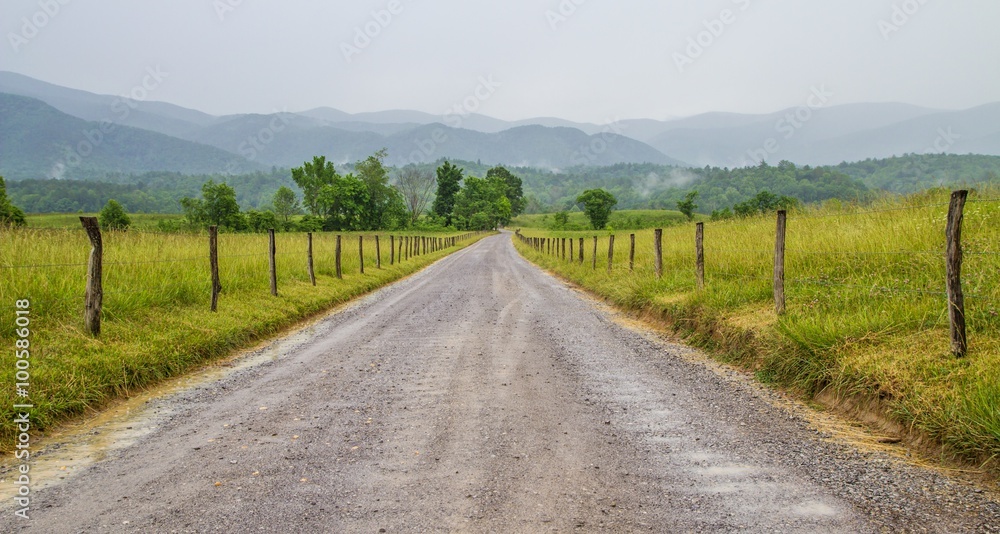 Naklejka premium The Journey. Dirt road leads to a Smoky Mountain horizon shrouded in fog. Cades Cove. Great Smoky Mountain National Park. Gatlinburg, Tennessee.